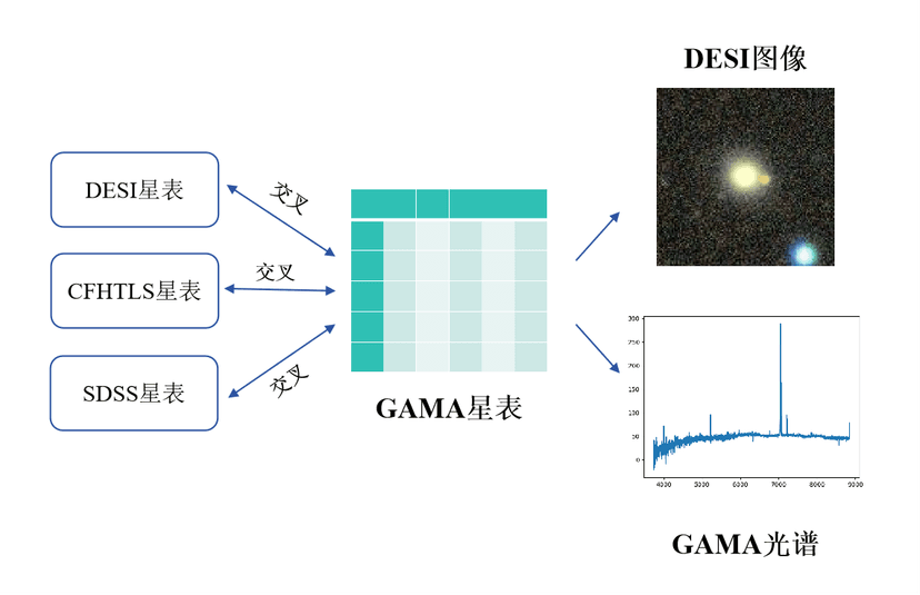 GAMA交叉认证数据集